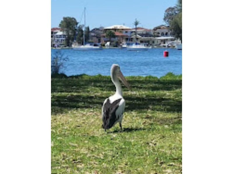 11 Naroo Avenue, Summerland Point NSW 2259
