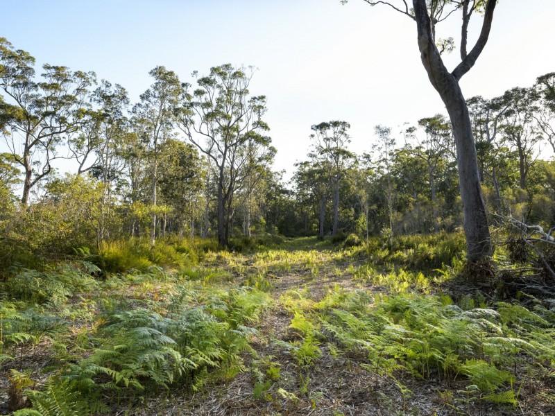 15 Bulga Street, Pindimar NSW 2324