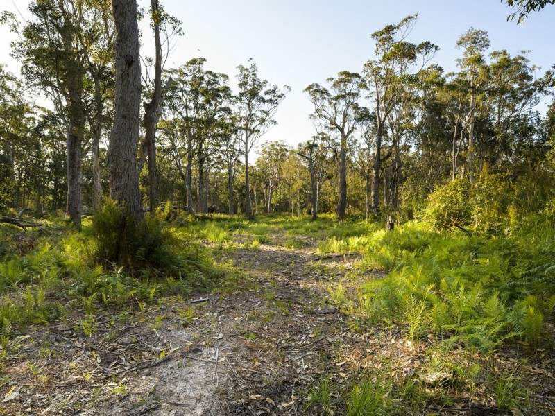 15 Bulga Street, Pindimar NSW 2324