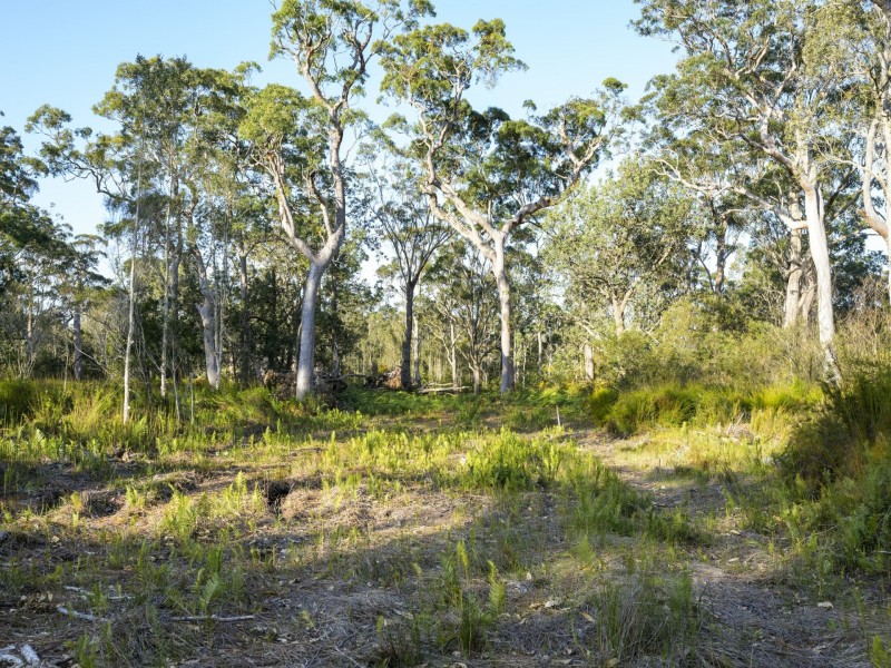 15 Bulga Street, Pindimar NSW 2324