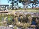 Lot 27 Captains Cove, Tea Gardens NSW 2324