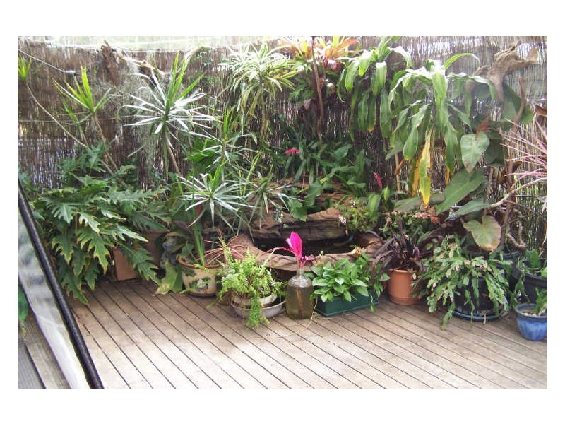 82 Koree Street, Pindimar NSW 2324