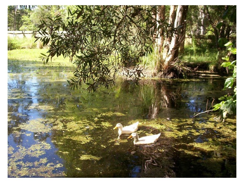 14 Koree Street, Pindimar NSW 2324