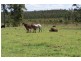6842 Pacific Highway, Tea Gardens NSW 2324