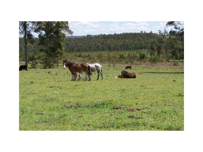 6842 Pacific Highway, Tea Gardens NSW 2324