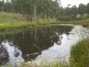 6842 Pacific Highway, Tea Gardens NSW 2324