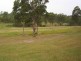 6842 Pacific Highway, Tea Gardens NSW 2324