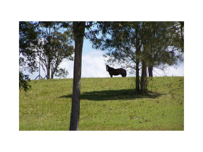 6842 Pacific Highway, Tea Gardens NSW 2324