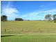 Kinchela NSW 2440