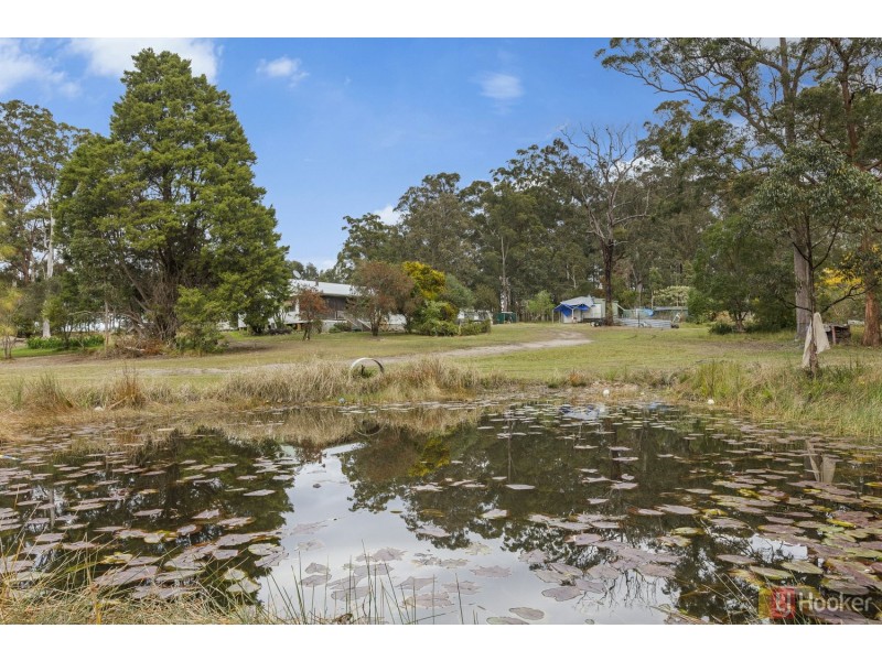 130 Rodeo Drive, Kundabung NSW 2441