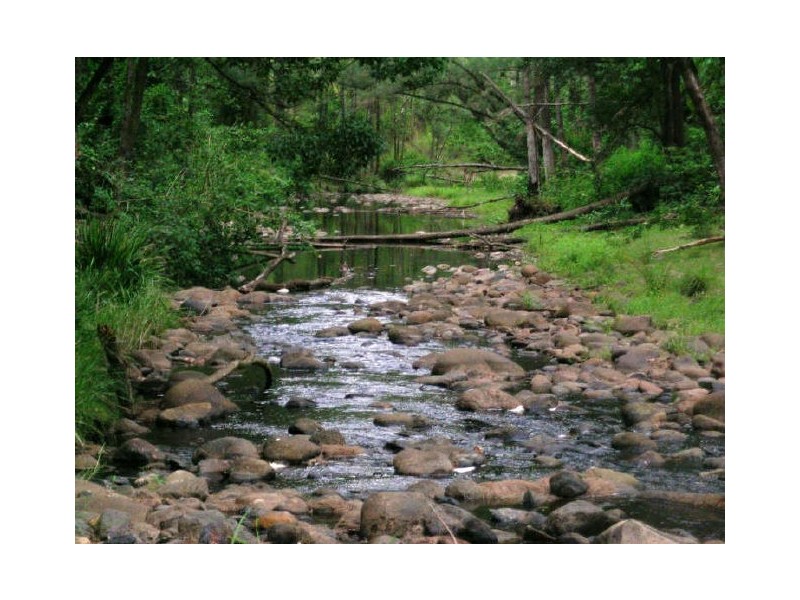 Lower Creek NSW 2440