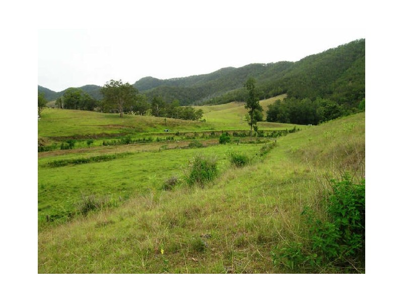 Lower Creek NSW 2440