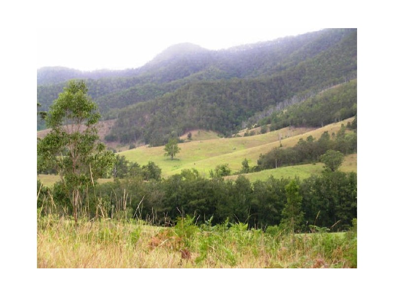Lower Creek NSW 2440