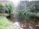 Lower Creek NSW 2440