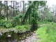 Lower Creek NSW 2440