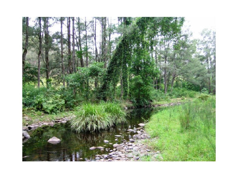 Lower Creek NSW 2440
