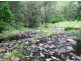Lower Creek NSW 2440