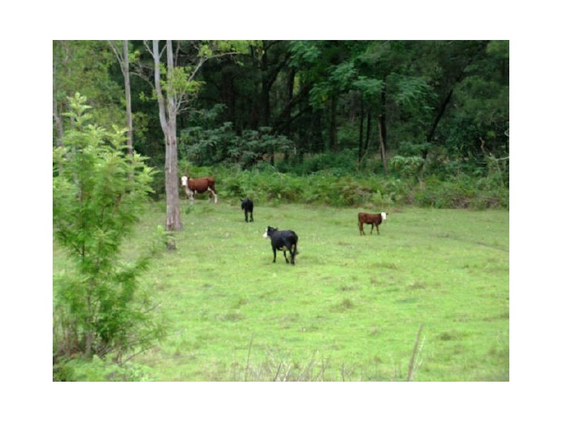 Lower Creek NSW 2440