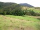 Lower Creek NSW 2440