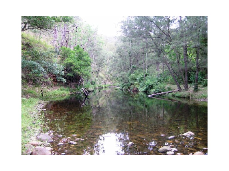 Lower Creek NSW 2440