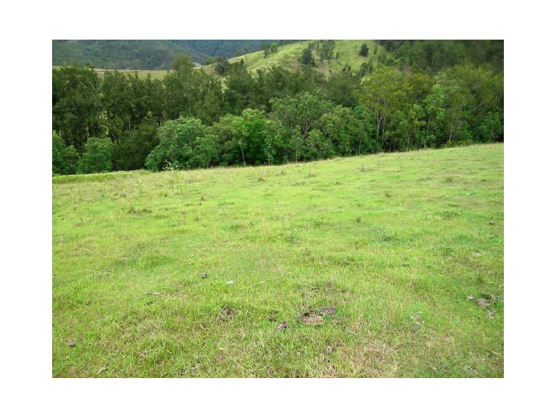 Lower Creek NSW 2440