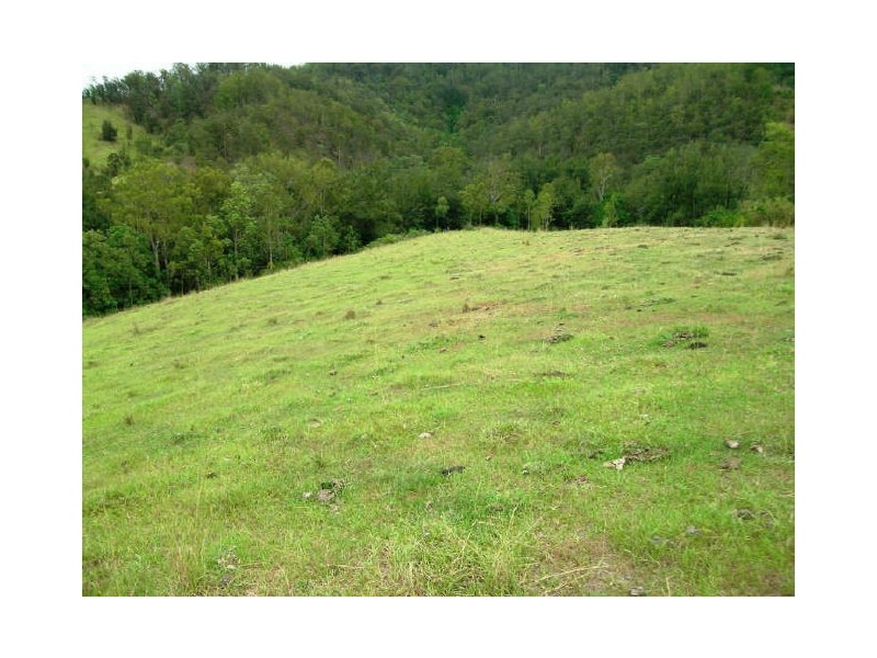 Lower Creek NSW 2440