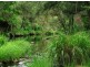 Lower Creek NSW 2440