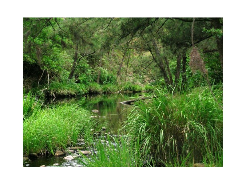 Lower Creek NSW 2440