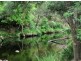 Lower Creek NSW 2440