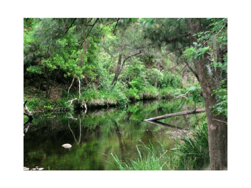 Lower Creek NSW 2440