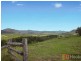 1912 Willi Willi Road, Moparrabah NSW 2440