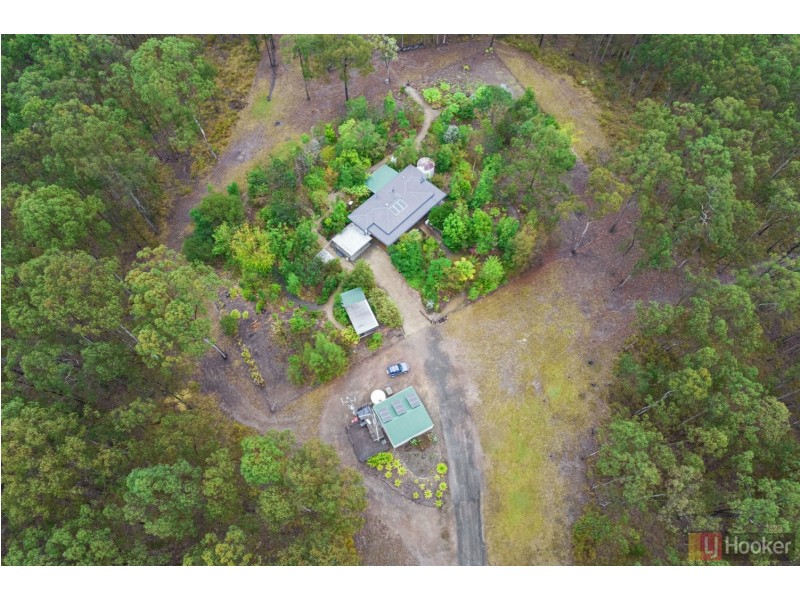 1493 Armidale Road, Corangula NSW 2440