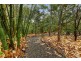 1493 Armidale Road, Corangula NSW 2440