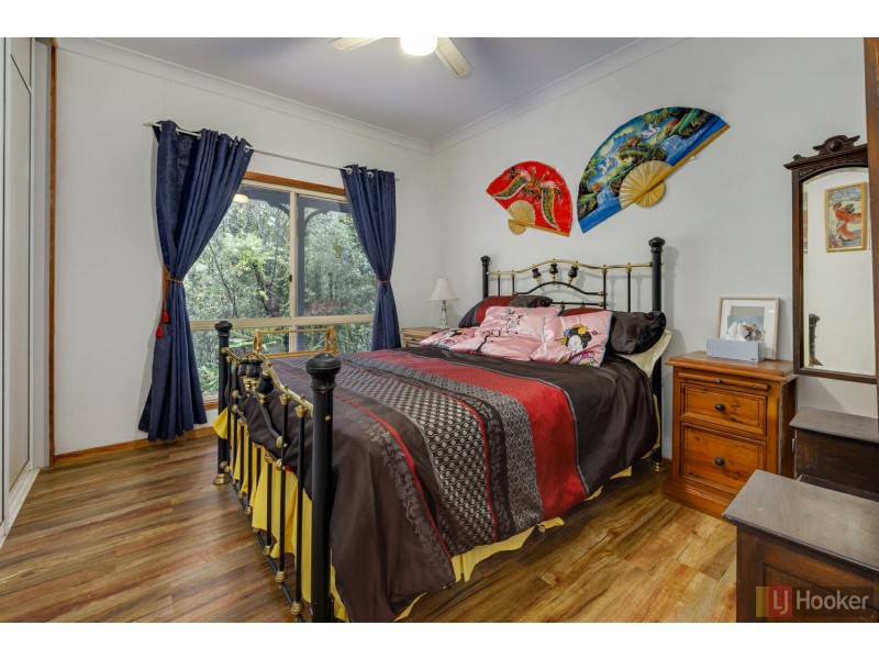 1493 Armidale Road, Corangula NSW 2440