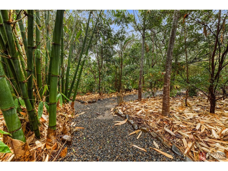 1493 Armidale Road, Corangula NSW 2440