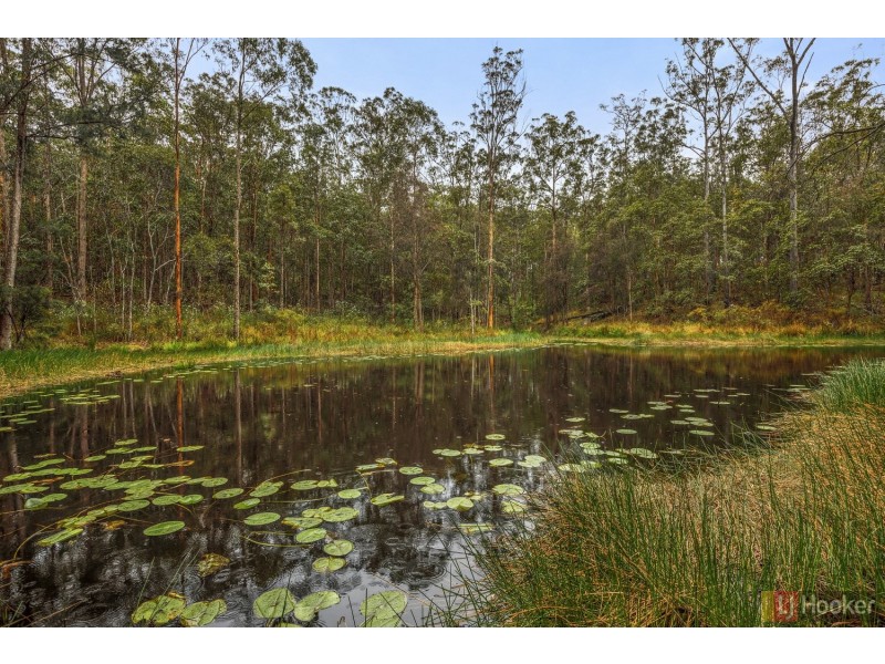 1493 Armidale Road, Corangula NSW 2440