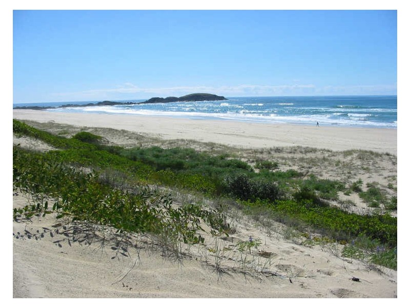 1010 Point Plomer Road, Crescent Head NSW 2440