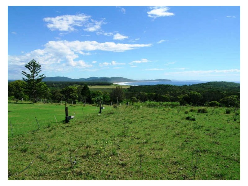 1010 Point Plomer Road, Crescent Head NSW 2440