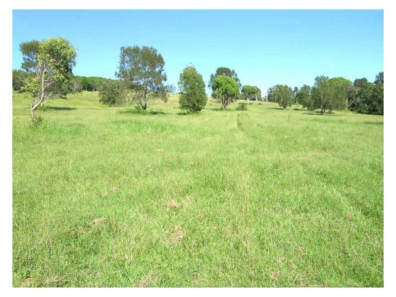 1010 Point Plomer Road, Crescent Head NSW 2440