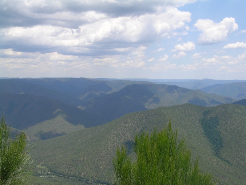 Lot17 Warwick Road, Carrai NSW 2440