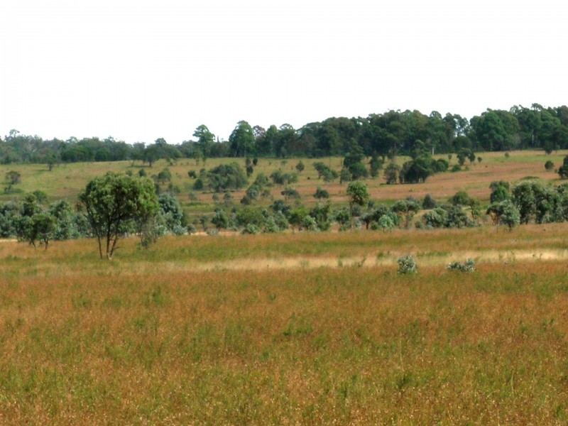 Lot17 Warwick Road, Carrai NSW 2440