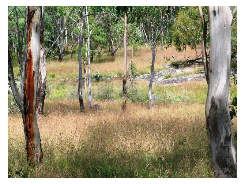 Lot 6 Warwick Road, Carrai NSW 2440