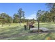1512 Collombatti Road, Collombatti NSW 2440