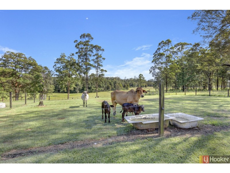 1512 Collombatti Road, Collombatti NSW 2440