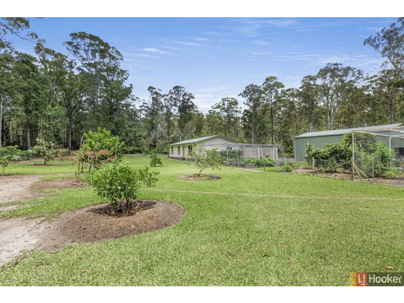 21 Brushbox Crescent, Yarravel NSW 2440