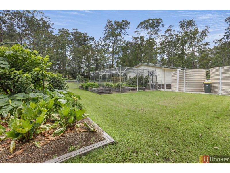 21 Brushbox Crescent, Yarravel NSW 2440