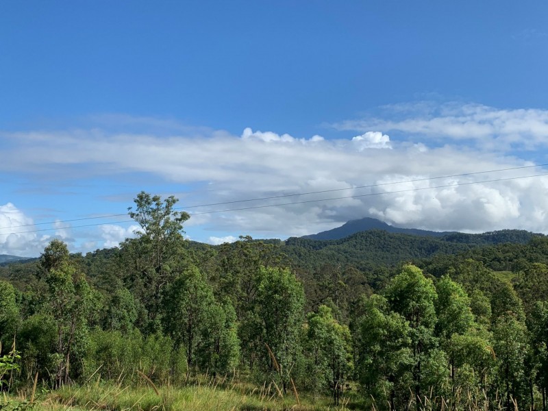 6a Wilsons Lane, Hickeys Creek NSW 2440