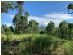 6a Wilsons Lane, Hickeys Creek NSW 2440