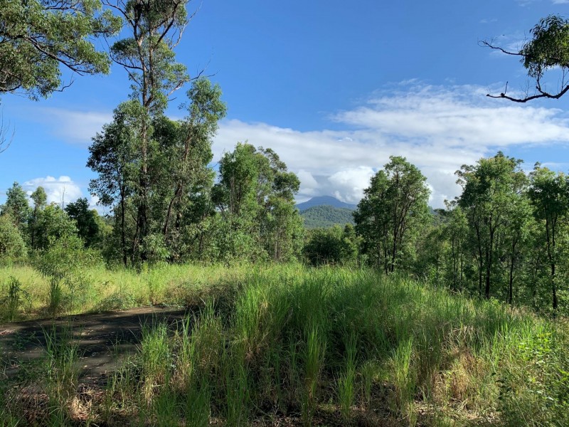 6a Wilsons Lane, Hickeys Creek NSW 2440