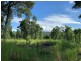 6a Wilsons Lane, Hickeys Creek NSW 2440